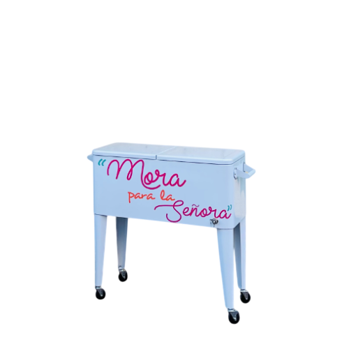 Nevera paletas 2-Photo